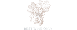 logo_dark.png